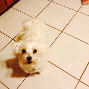 Meet your Posher, Leticia