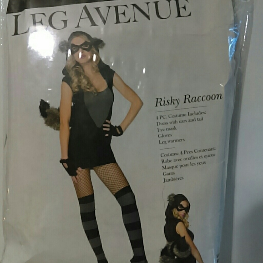 Raccoon costume