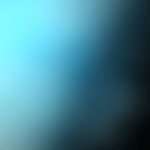 Meet your Posher, Ivana