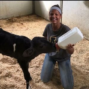 Meet your Posher, Baylei