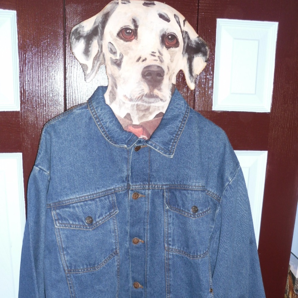 Vintage 90's American Eagle Denim Jacket