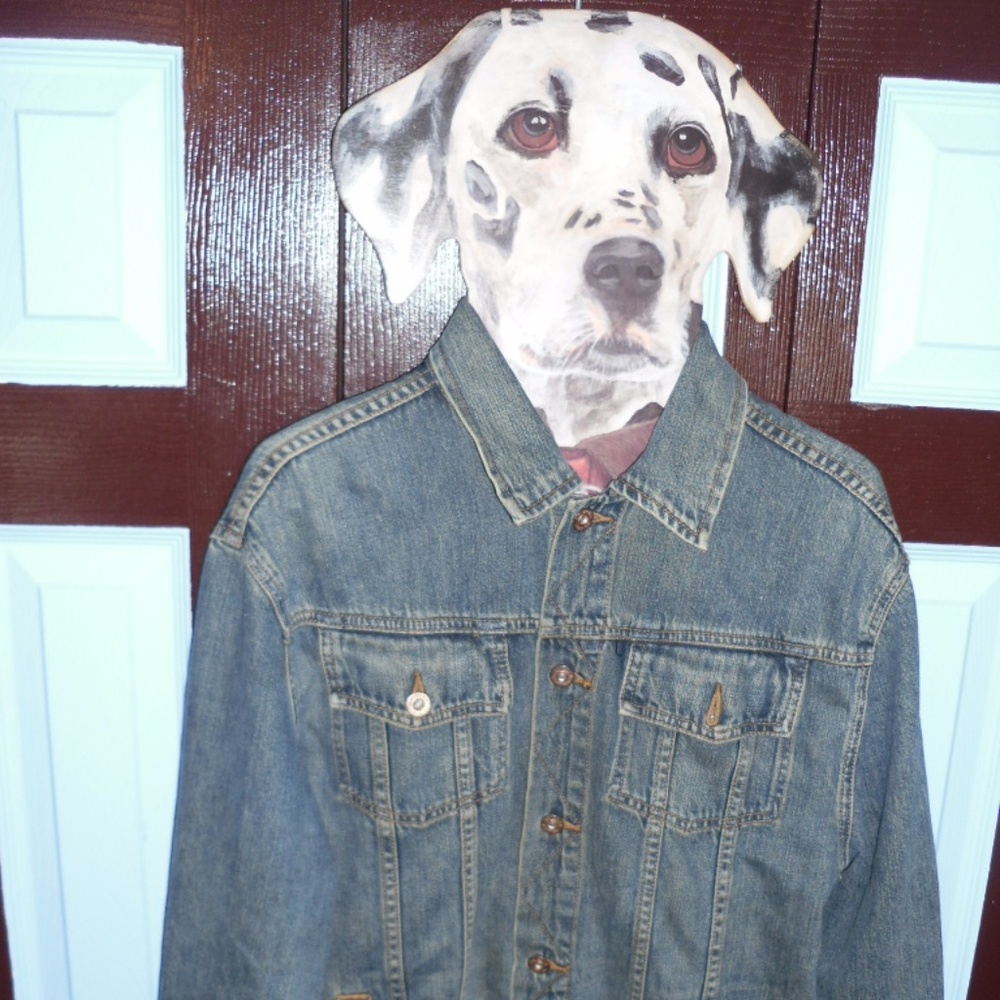 90s Arizona Denim Jacket Button Up