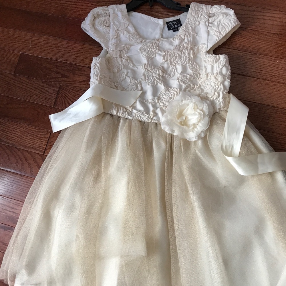 Rose embroider dress