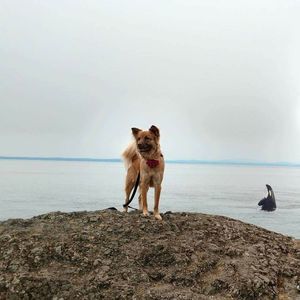 Meet your Posher, Shawna