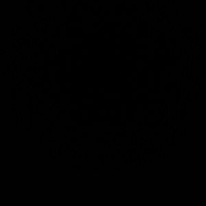 Meet your Posher, Isabelle