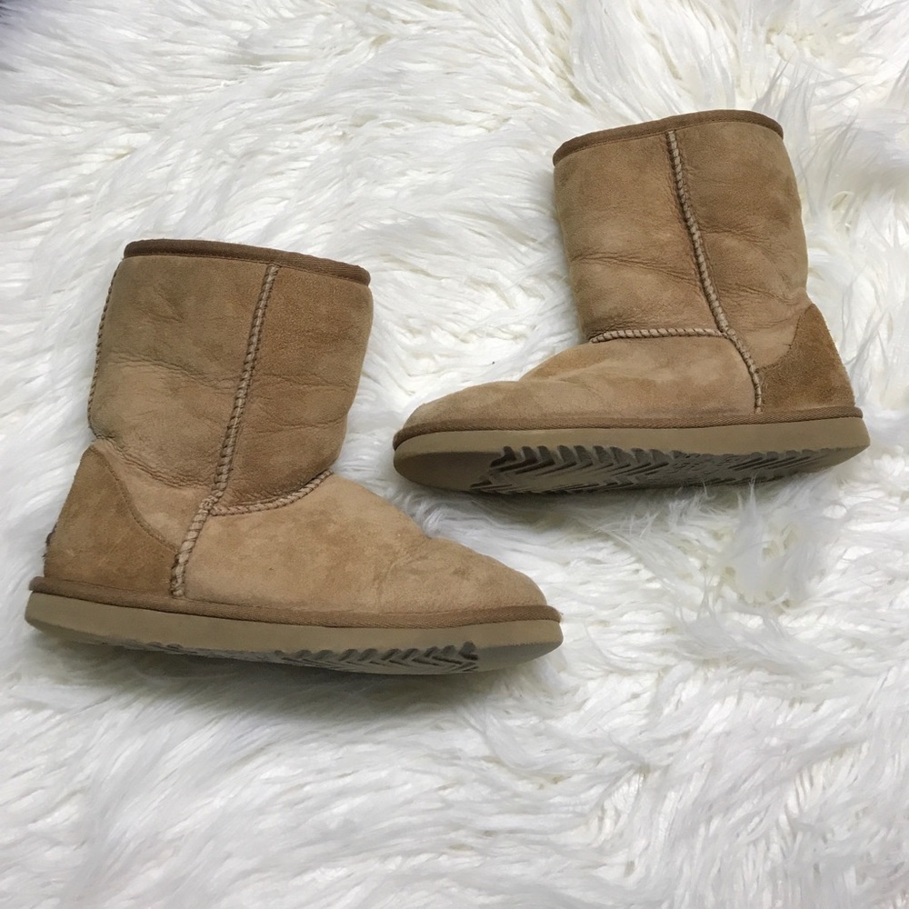 Chestnut uggs