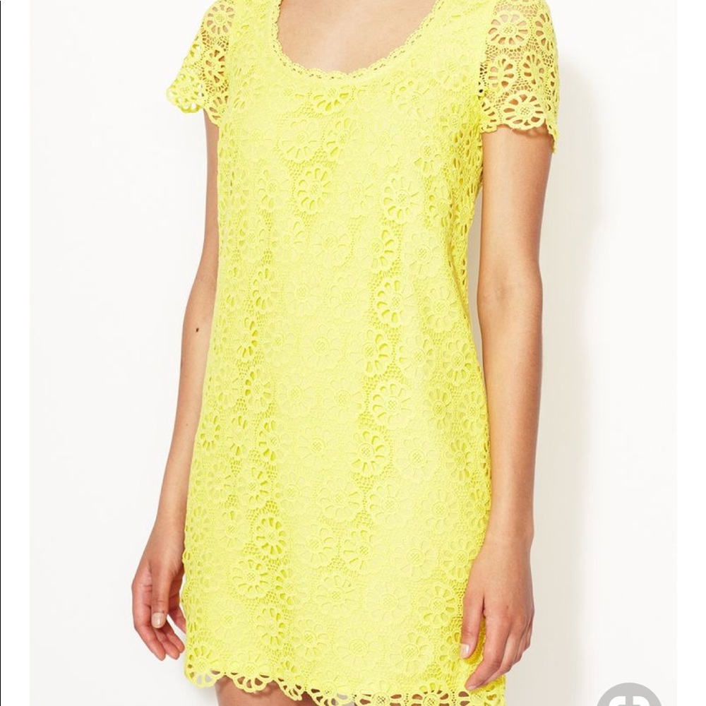 French Connection Fast Lisella crochet dress