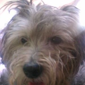 Meet your Posher, Alyce