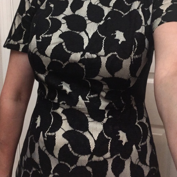 Dress,size-0,short sleeves,black/cream,lace,short - Picture 8 of 8