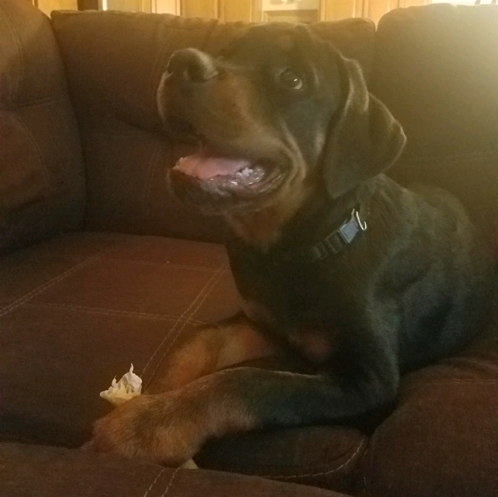 Meet your Posher, Tisha