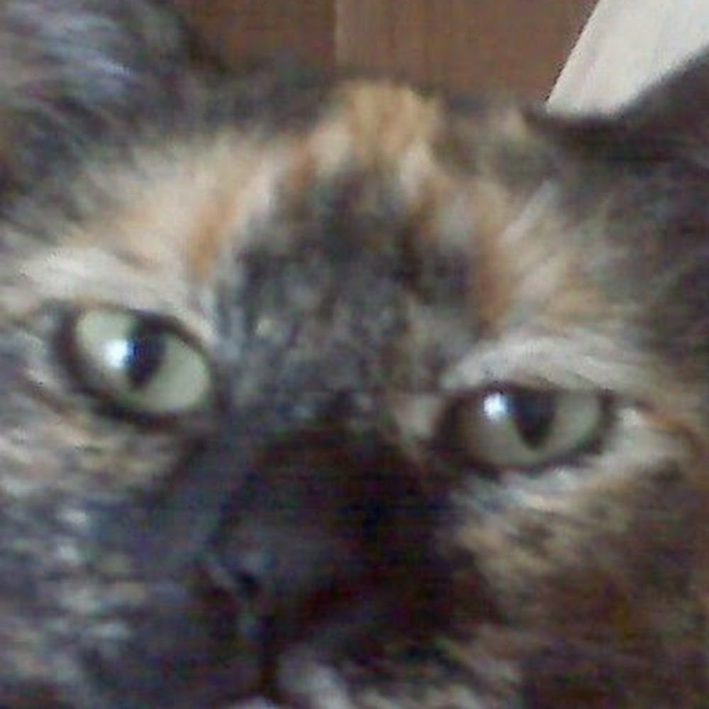 Meet your Posher, Sheena