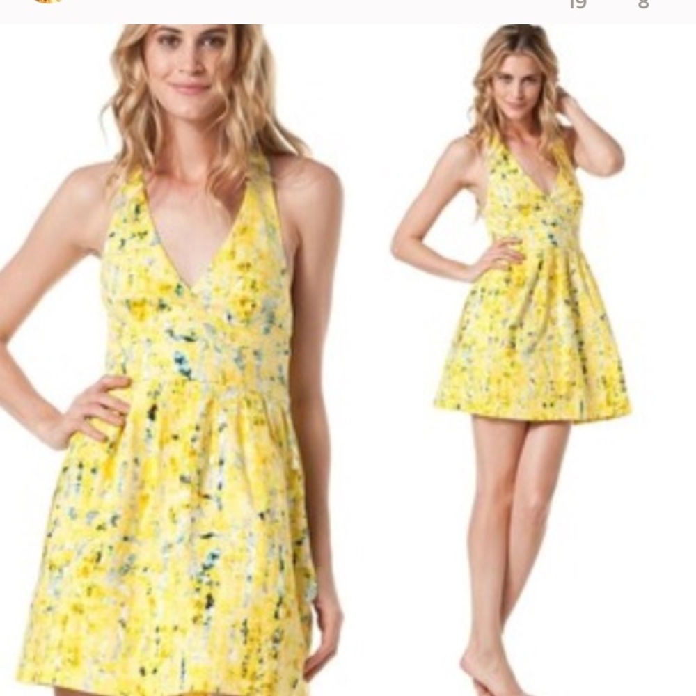 BB Dakota dress