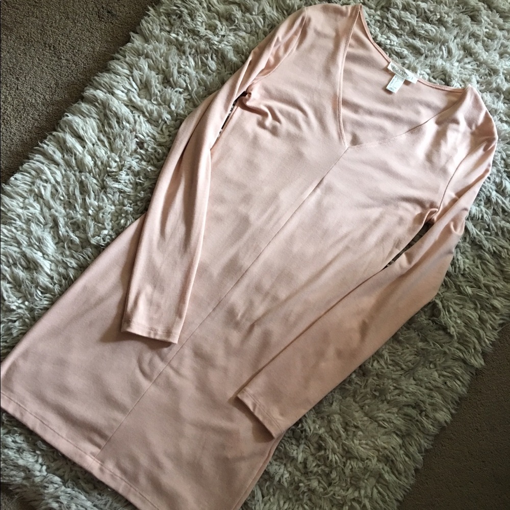 Blush Bodycon Dress