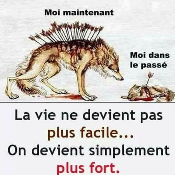 Meet your Posher, Claudel - Picture 1 of 1