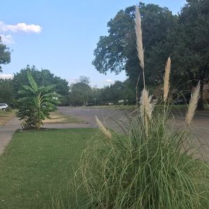 Meet your Posher, Ano