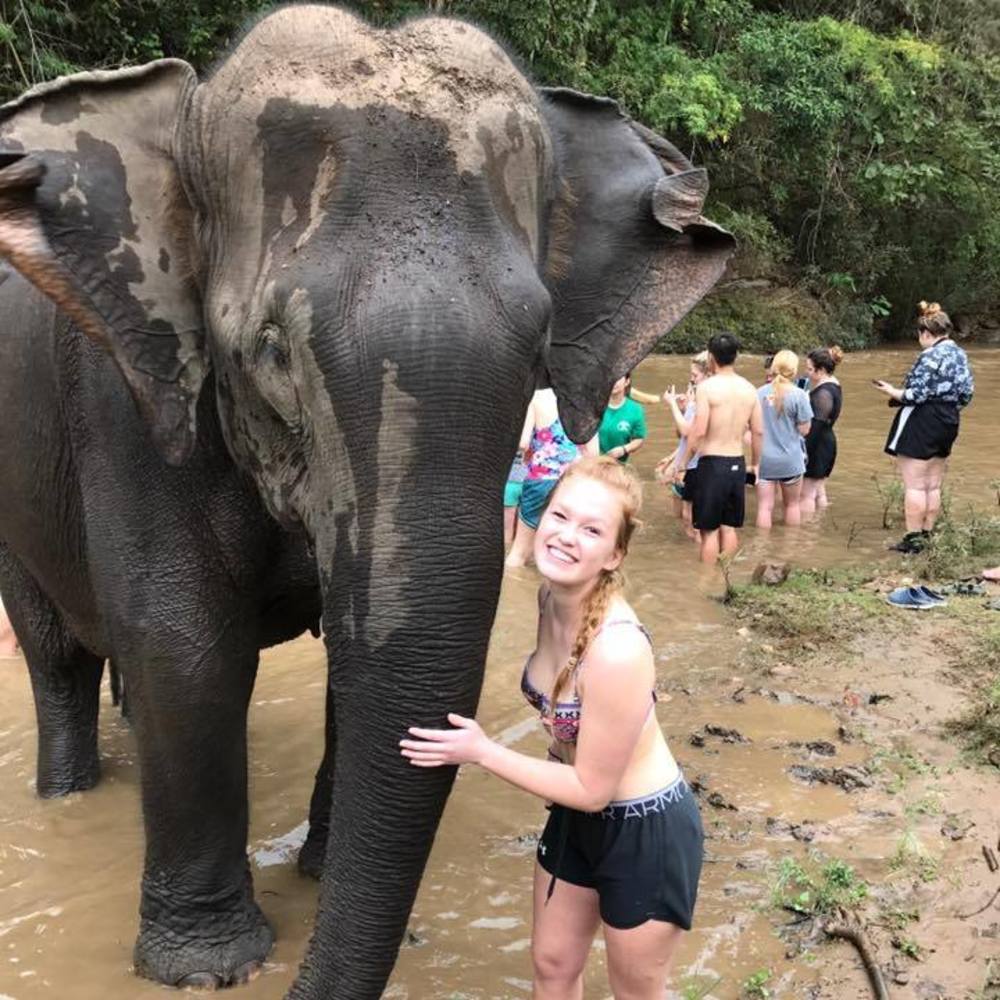 Meet your Posher, Alyssa