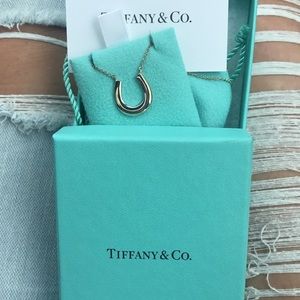 Authentic Tiffany &co. horseshoe necklace