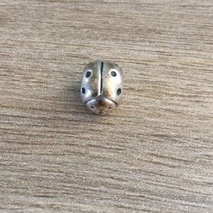 Authentic Pandora Charm