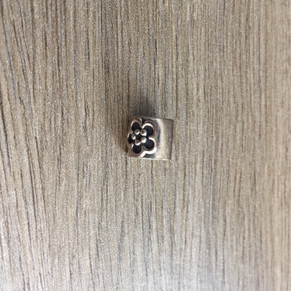 Authentic ✨ Pandora Charm