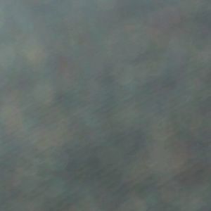 Meet your Posher, Cecilia