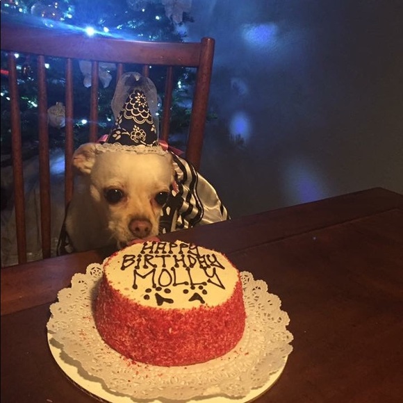 Meet your Posher, Laura - Picture 4 of 8