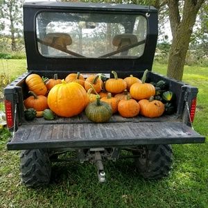 Meet your Posher, Kim