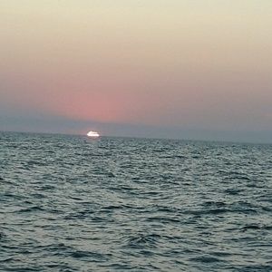 Meet your Posher, Lesley