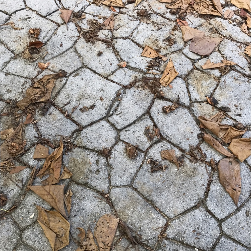 Meet your Posher, Damla