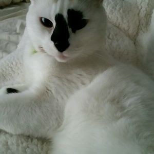 Meet your Posher, Robert