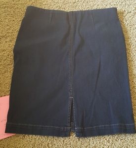 Loft Denim Skirt