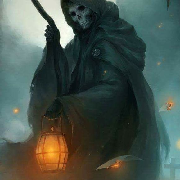 Meet your Posher, Monique - Picture 1 of 1