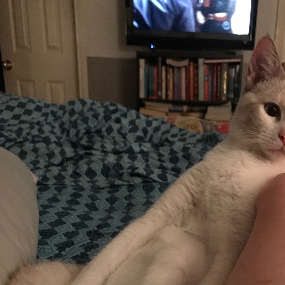 Meet your Posher, Karen