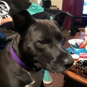 Meet your Posher, Teri