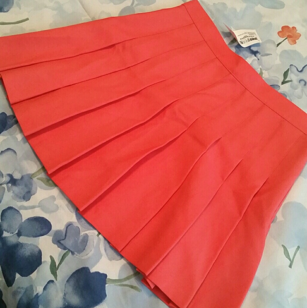 American Apparel Pleated Skirt