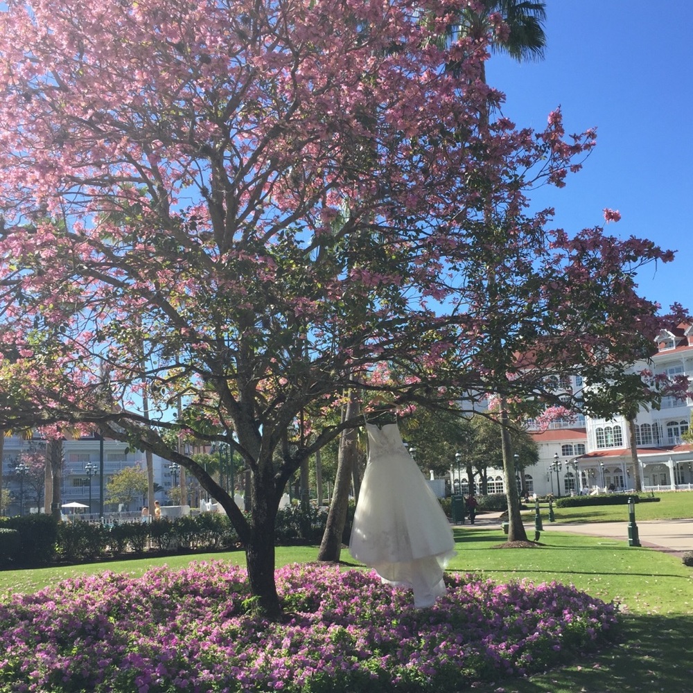 Meet your Posher, Chanel