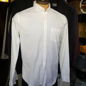 Large dress shirt fitted