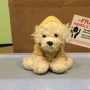 Adorable white ty puppy