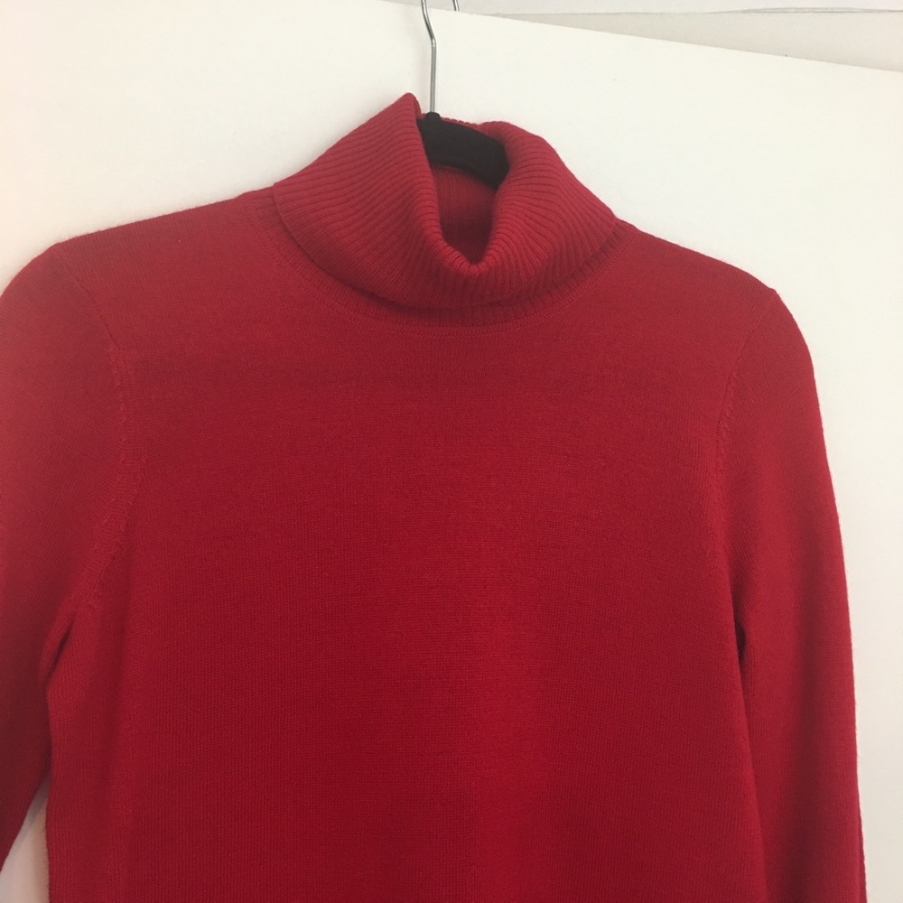 Ellen Tracy Merino Wool Turtleneck