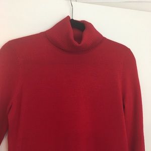 Ellen Tracy Merino Wool Turtleneck