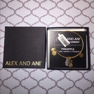 Retired Alex and Ani pineapple charm