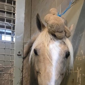 Meet your Posher, Leslie