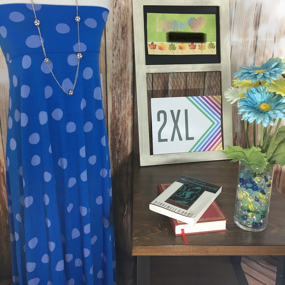 LuLaRoe Maxi Skirt