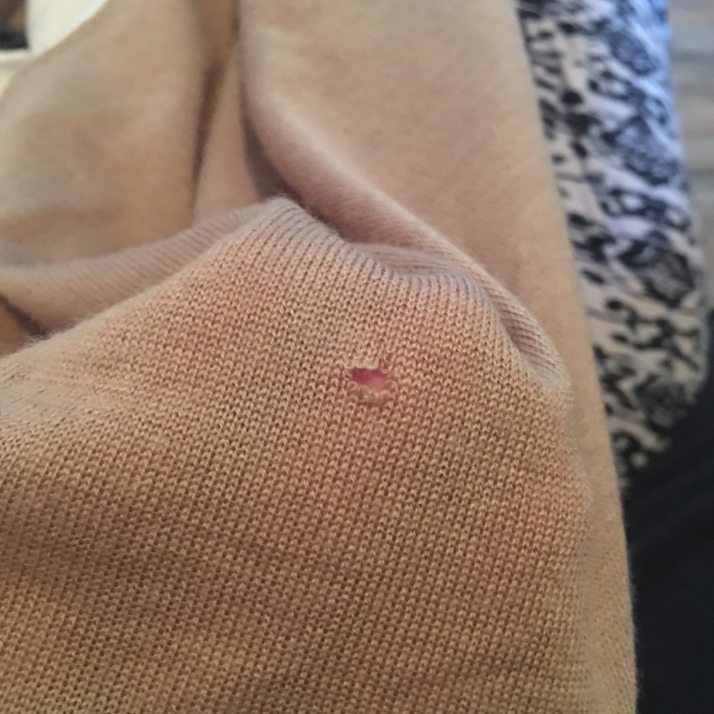 Ann Taylor LOFT sweater