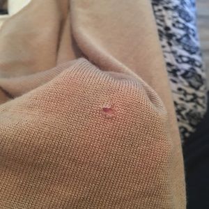 Ann Taylor LOFT sweater