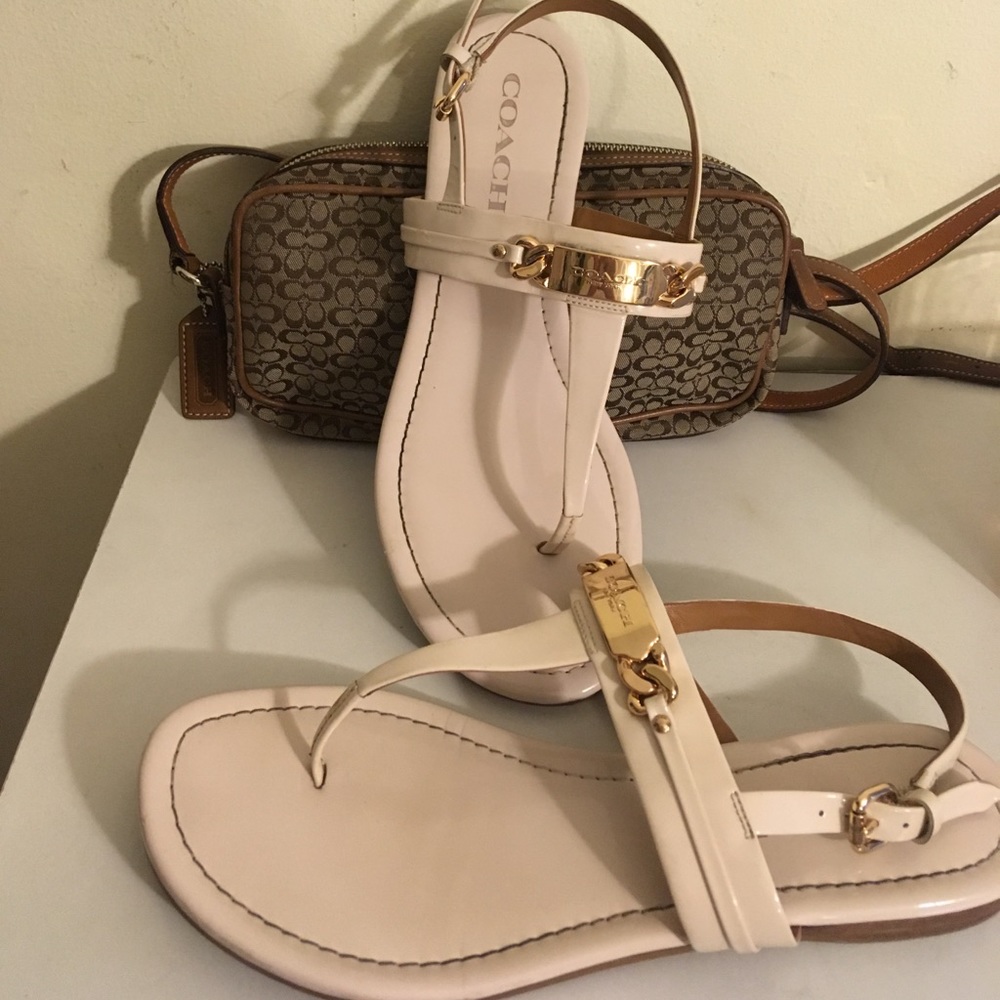 Coach thong sandal