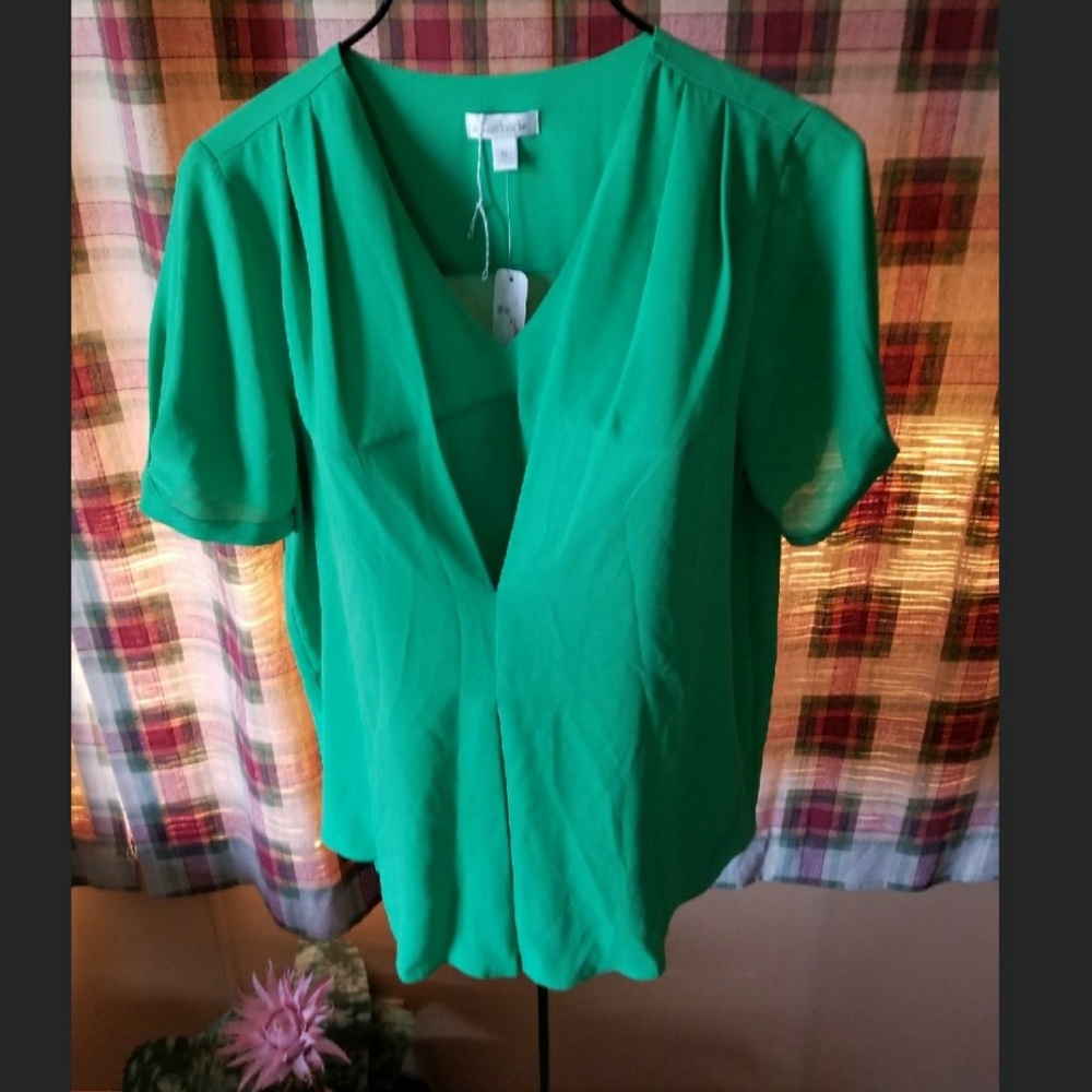 NWT Charming Charlie Size Small Green ish Color