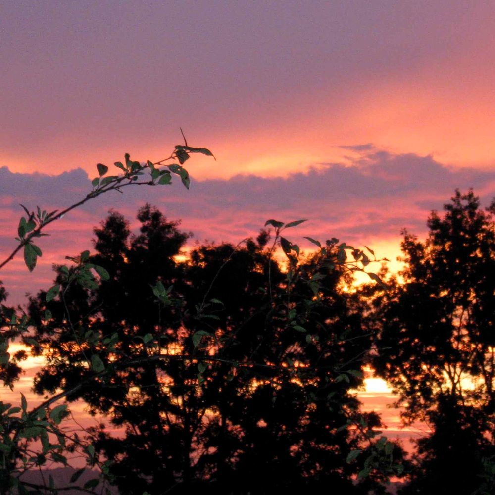 Meet your Posher, Sahai