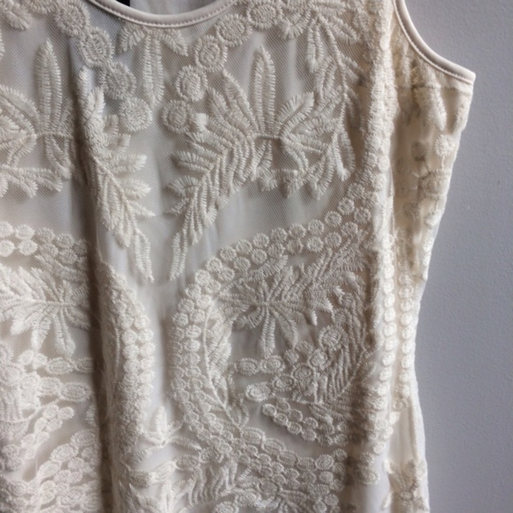 NEW Ivory Beautiful Lace Overlay Shift Dress - Picture 3 of 3