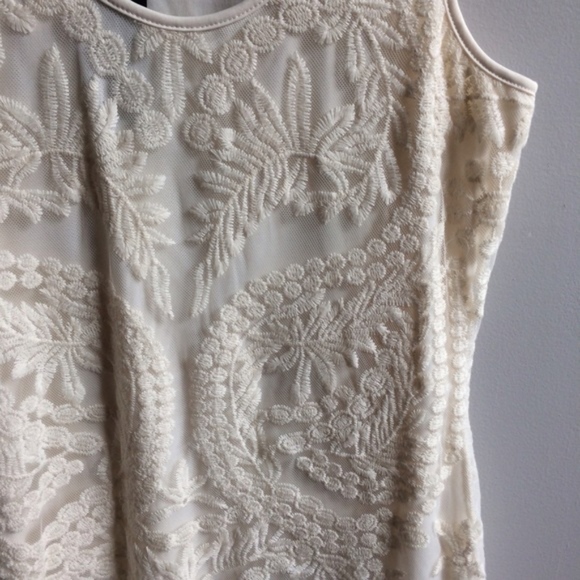 NEW Ivory Beautiful Lace Overlay Shift Dress - Picture 3 of 3