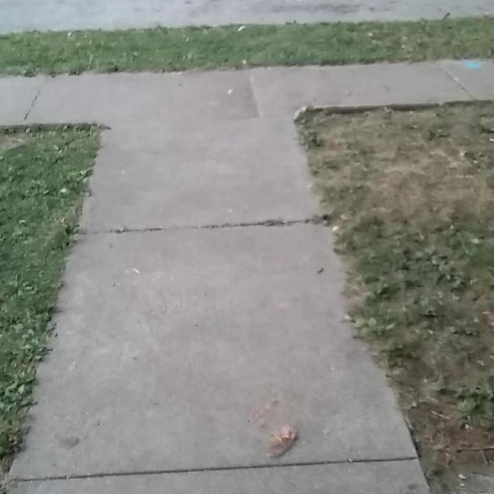 Meet your Posher, Jerry